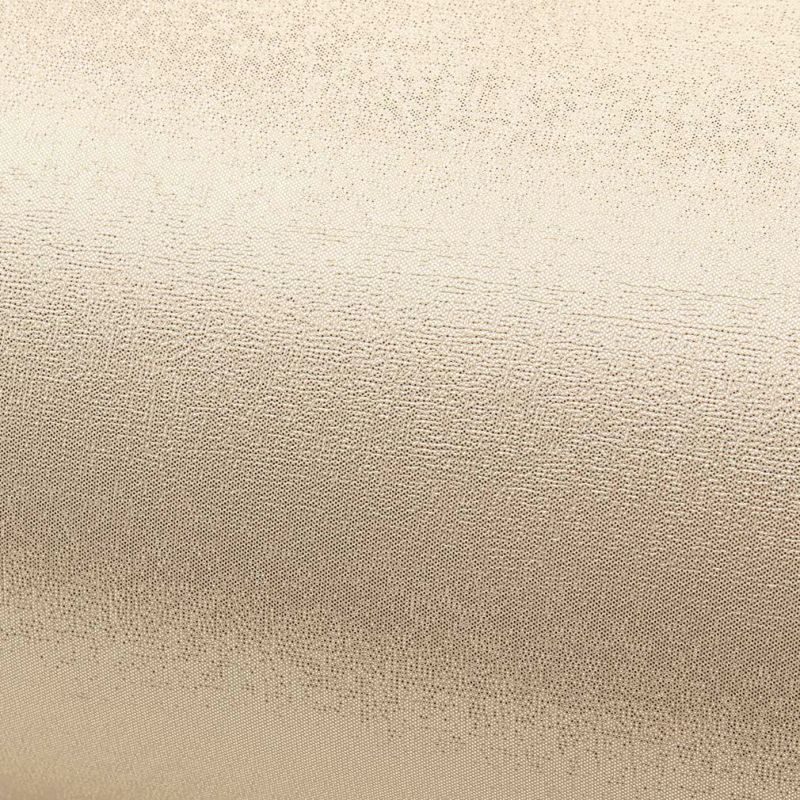 岩佐草履バッグセット