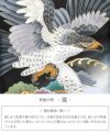 お宮参り着物男の子絹正絹掛け着産着黒鷹宝船軍配小槌鶴松竹梅宝尽くし吉祥紋友禅金彩新品日本製販売購入きもの祝い着のしめ初着祝着一つ身服装赤ちゃんベビー