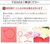 お宮参り着物女の子産着赤薄橙薄緑藤色レッド花車牡丹松梅鞠毬まり手書き友禅金駒刺繍正絹祝い着のしめ掛け着初着服装赤ちゃん販売