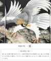 お宮参り着物男の子産着黒鷹松正絹友禅刺繍箔使い新品販売購入きもの祝い着のしめ掛け着初着祝着一つ身服装赤ちゃんベビー