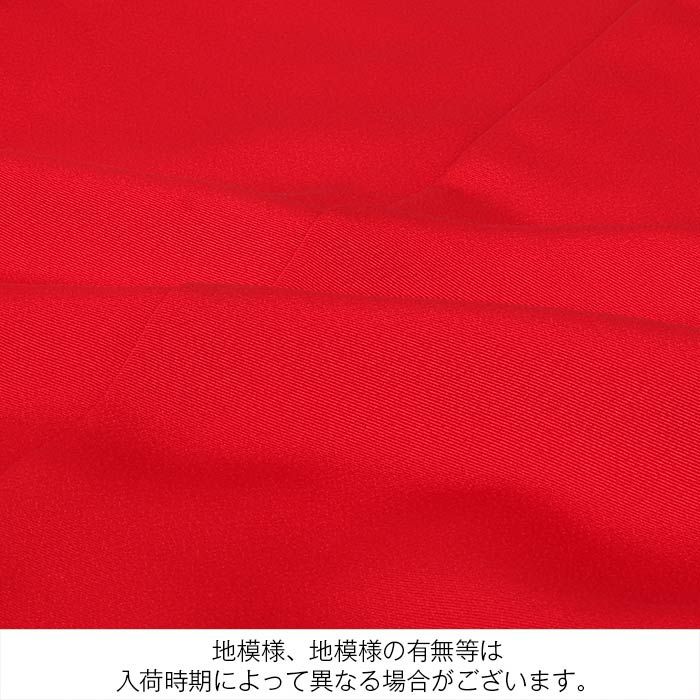 ≪◆ポイント3倍◆9/3023:59まで≫お宮参り着物女の子産着赤胡蝶蘭蘭吉祥花正絹友禅尾峨佐染繍手刺繍総刺繍新品日本製販売購入きもの祝い着のしめ掛け着初着祝着一つ身服装赤ちゃんベビー