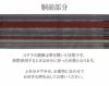 夏博多織夏帯名古屋帯博多帯かがり帯袋名古屋帯新品未使用