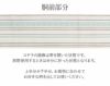 夏博多織夏帯名古屋帯博多帯かがり帯袋名古屋帯新品未使用