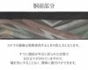 小紋紬色無地御召などのお着物にすぐ使えるお仕立て上がり九寸名古屋帯。春秋冬袷単衣の時期のお着物のお締めいただけます。