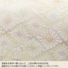 草履バッグセット留袖用訪問着用草履バッグ紗織沙織LLサイズ大きいサイズシルバーアイボリー雲取り花菱2の3枚芯日本製パールトーン加工抗菌防臭痛くない黒留袖色留袖礼装用フォーマル結婚式ぞうり草履草履バック草履バックセット着物fs