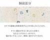 小紋紬色無地御召などのお着物にすぐ使えるお仕立て上がり九寸名古屋帯。春秋冬袷単衣の時期のお着物のお締めいただけます。