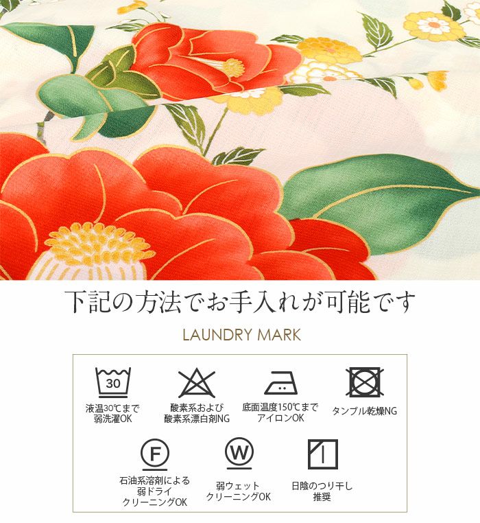 浴衣 着物 洗える 単衣 セオアルファ 夏着物 裄丈68 薄物 セオα 日本製